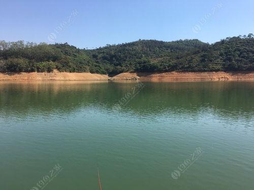 三坑水库爆料最新消息视频,揭秘水库神秘面纱背后的真相